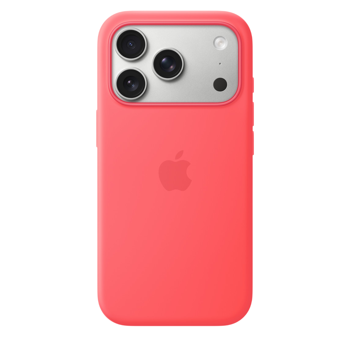 iPhone Aksesuarları