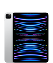 11 inç iPad Pro (4. nesil)