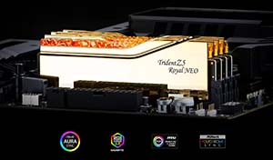 サプルバット GSKILL 48GB (2x24GB) TZ5 Royal Neo Silver RGB DDR5 8000MHz CL40