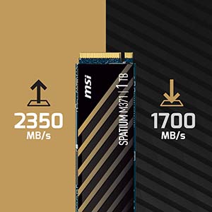 MSI SPATIUM M371 NVMe M.2 1TB SSD Fiyatı ve Özellikleri - Vatan