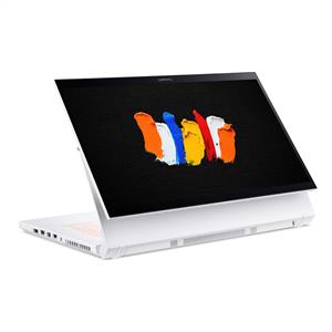 Acer Conceptd 7 Ezel Pro 10.Nesil Core i7 10875H-16Gb-1Tb-15.6incRtx3000 6Gb-W10
