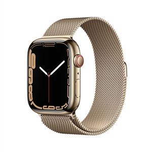 Apple Watch Series 7 GPS + Cellular, 41mm Gold Stainless Steel Case with Gold
