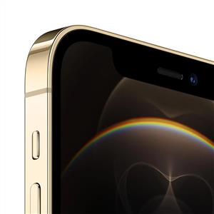 iPhone 12 Pro 256 Gb Akıllı Telefon Altın