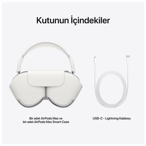 APPLE AİRPODS MAX - SİLVER - Vatan Bilgisayar