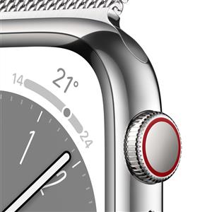 Apple Watch Series 8 GPS + Cellular 45mm Silver Stainless Steel Case with Silver