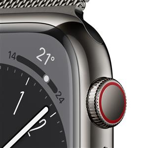 Apple Watch Series 8 GPS + Cellular 45mm Graphite Stainless Steel Case with Grap