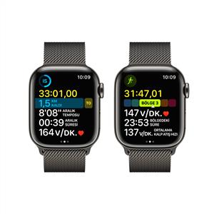 Apple Watch Series 8 GPS + Cellular 45mm Graphite Stainless Steel Case with Grap
