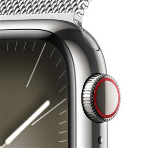 Apple Watch Series 9 GPS + Cellular 41mm Akıllı Saat Stainless Steel Case with Silver