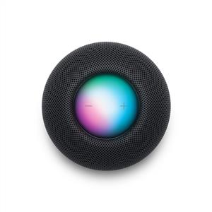 Apple HomePod Mini Uzay Grisi