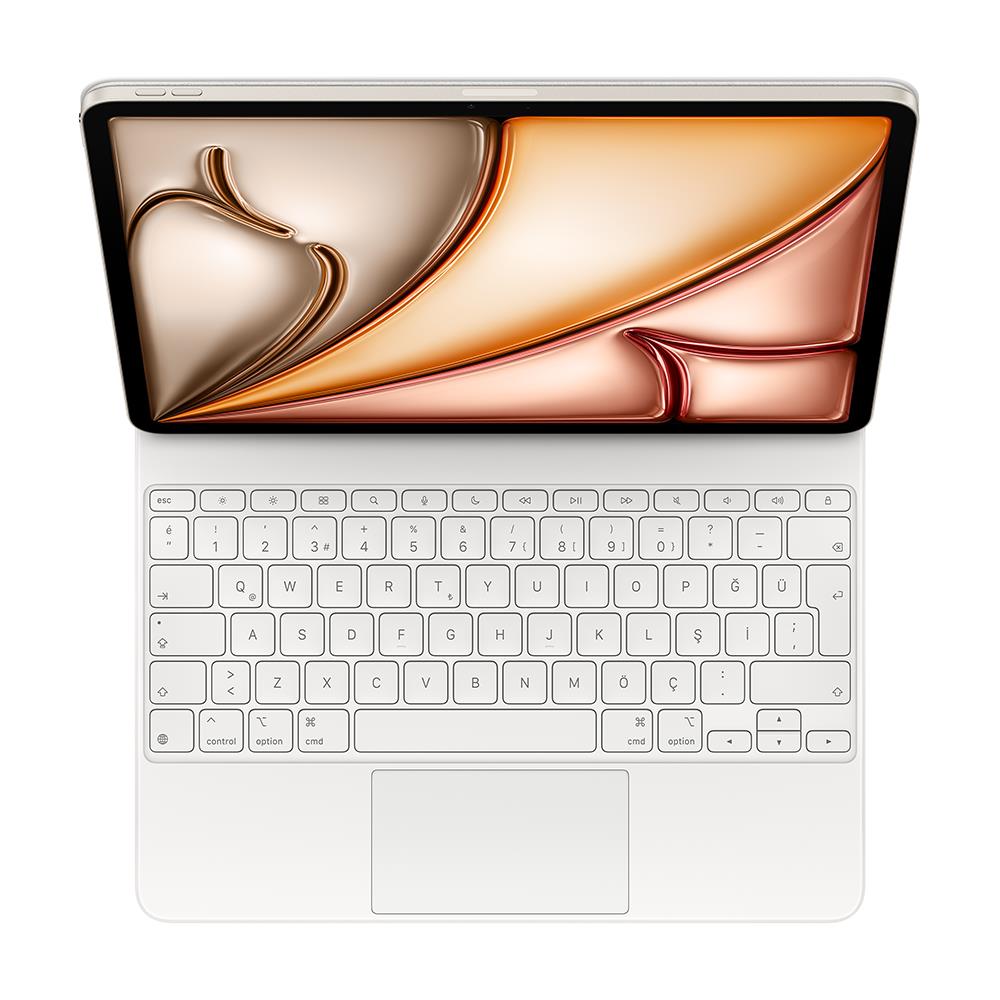 Apple 13