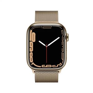 Apple Watch Series 7 GPS + Cellular, 41mm Gold Stainless Steel Case with Gold