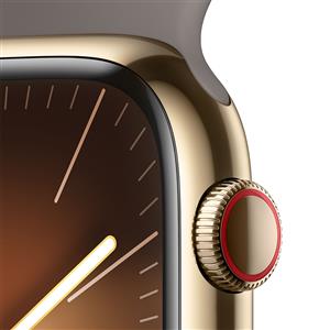 Apple Watch Series 9 GPS + Cellular 45mm Gold Stainless Steel Clay Band - S/M