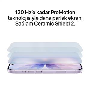 iPhone 17 256 GB Akıllı Telefon Siyah