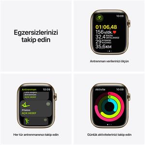 Apple Watch Series 7 GPS + Cellular, 41mm Gold Stainless Steel Case with Gold