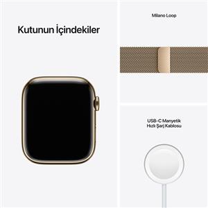 Apple Watch Series 7 GPS + Cellular, 41mm Gold Stainless Steel Case with Gold