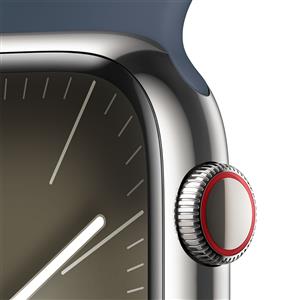 Apple Watch Series 9 GPS + Cellular 45mm Akıllı Saat Silver Stainless Steel Blue Band S/M