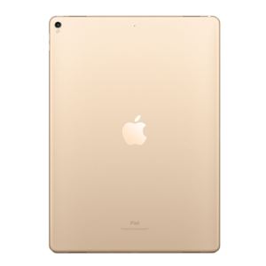 6.Nesil iPad-32GB WIFI-Gold-9.7''Retina-Bluetooth-10 Saate KadarPilÖmrü