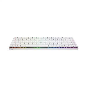 ASUS ROG FALCHION RX KABLOSUZ LOW PROFILE GAMING KLAVYE