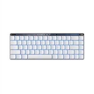 ASUS ROG FALCHION RX KABLOSUZ LOW PROFILE GAMING KLAVYE