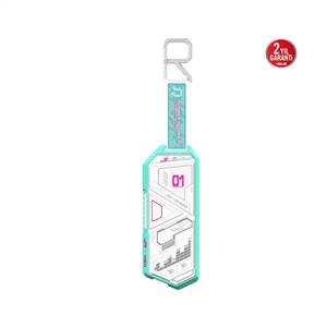 ASUS ROG STRIX ARION HATSUNE MIKU M.2 NVMe USB 3.2 SSD KUTUSU