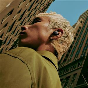 Bose QuietComfort Earbuds ANC TWS Kulaklık - Siyah