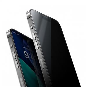 Buff Labs iPhone 17 Pro Max/16 Pro Max 5D Privacy EasyFit Ekran Koruyucu