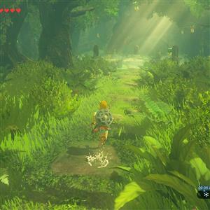 Nintendo Switch 2 Legend Of Zelda Botw Oyun