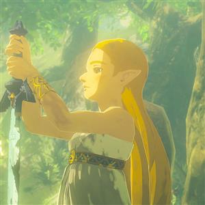 Nintendo Switch 2 Legend Of Zelda Botw Oyun