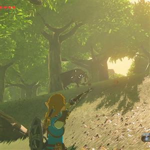 Nintendo Switch 2 Legend Of Zelda Botw Oyun