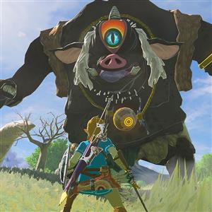 Nintendo Switch 2 Legend Of Zelda Botw Oyun
