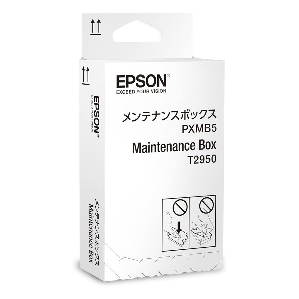 EPSON BAKIM KITI (C13T295000)