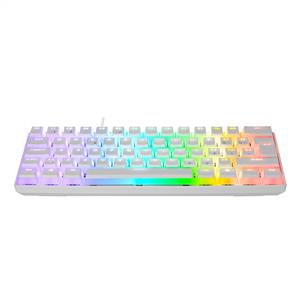 EVEREST BRIAR RGB RED SWITCH MEKANIK MINI GAMING KLAVYE-BEYAZ