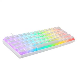 EVEREST BRIAR RGB RED SWITCH MEKANIK MINI GAMING KLAVYE-BEYAZ