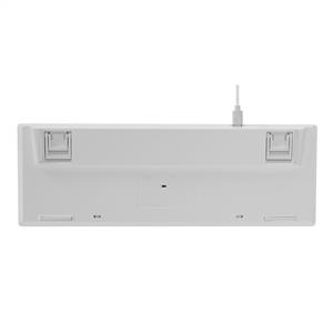 EVEREST BRIAR RGB RED SWITCH MEKANIK MINI GAMING KLAVYE-BEYAZ