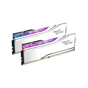 サプルバット GSKILL 48GB (2x24GB) TZ5 Royal Neo Silver RGB DDR5 8000MHz CL40