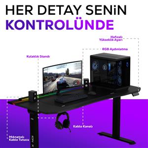 HAWK GAMING CHAIR ION X Çift Motorlu Yükseklik Ayarlı 160x80 RGB Siyah Oyuncu Masası