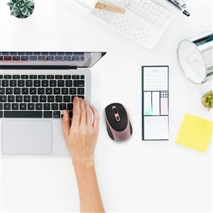 INCA IWM-211RG SILENT KABLOSUZ MOUSE-ROSE GOLD