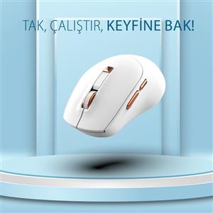 INCA IWM-244RB WİRELESS SESSİZ MOUSE- BEYAZ