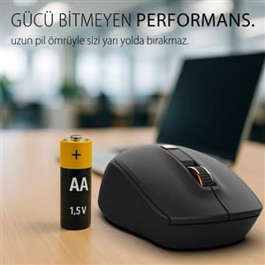 INCA IWM-244RS WİRELESS SESSİZ MOUSE- SİYAH