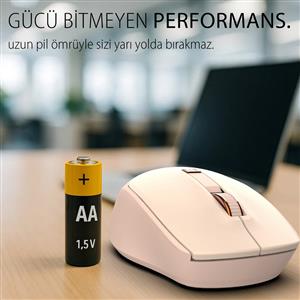 INCA IWM-244RP WİRELESS SESSİZ MOUSE- PEMBE