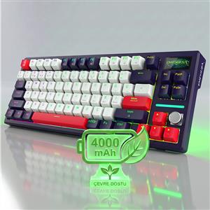 INCA IKG-460İX PRO EMPOUSA WHITE SWITCH SOFTWARE  MEKANIK GAMING KLAVYE
