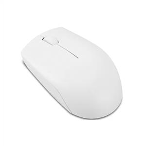 LENOVO 300 COMPACT KABLOSUZ MOUSE-CLOUD GREY
