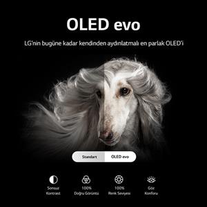 LG OLED77C2 77inc 195 cm 4K OLED evo webOS Smart TV,Uydu Alıcılı