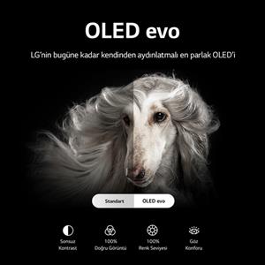 LG OLED55C2 55inc 139 cm 4K OLED evo webOS Smart TV,Uydu Alıcılı