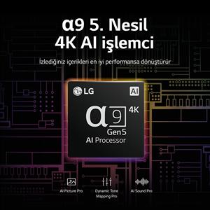 LG OLED42C2 42inc 106 cm 4K OLED evo webOS Smart TV,Uydu Alıcılı