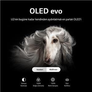 LG OLED97G2 97inc 246 cm OLED evo 4K Galeri Tasarım webOS Smart TV,Uydu Alıcılı