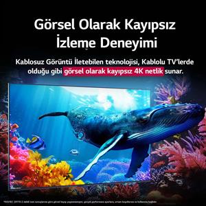 LG 65QNED9MA6B 65 inç 165 cm 4K MiniLED evo Smart TV AI Sihirli Kumanda webOS25