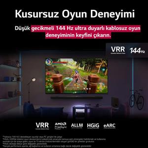 LG 65QNED9MA6B 65 inç 165 cm 4K MiniLED evo Smart TV AI Sihirli Kumanda webOS25
