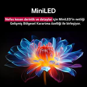 LG 65QNED9MA6B 65 inç 165 cm 4K MiniLED evo Smart TV AI Sihirli Kumanda webOS25