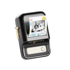  NIIMBOT B21 PRO TAŞINABİLİR KABLOSUZ ETİKET YAZICI (Siyah)